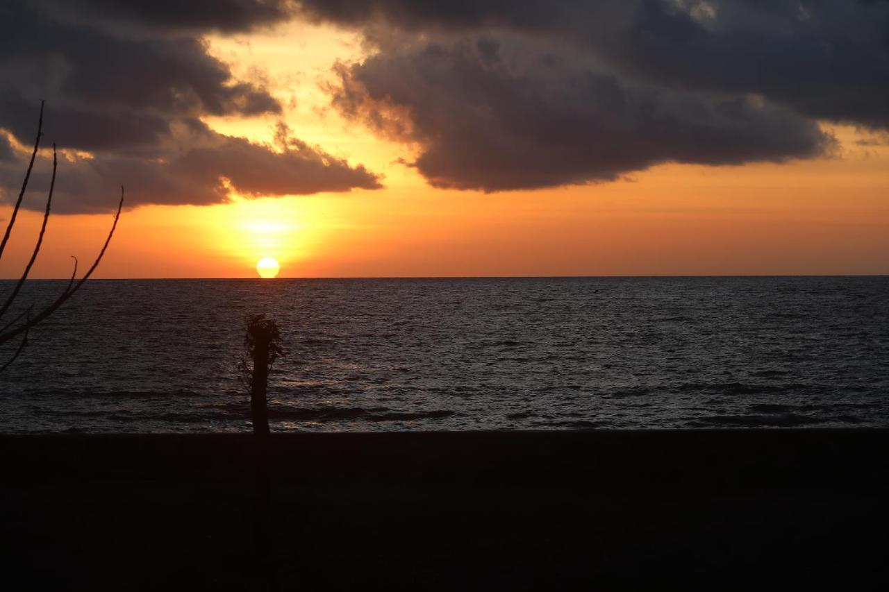 Atauro Dive Resort Beloi エクステリア 写真
