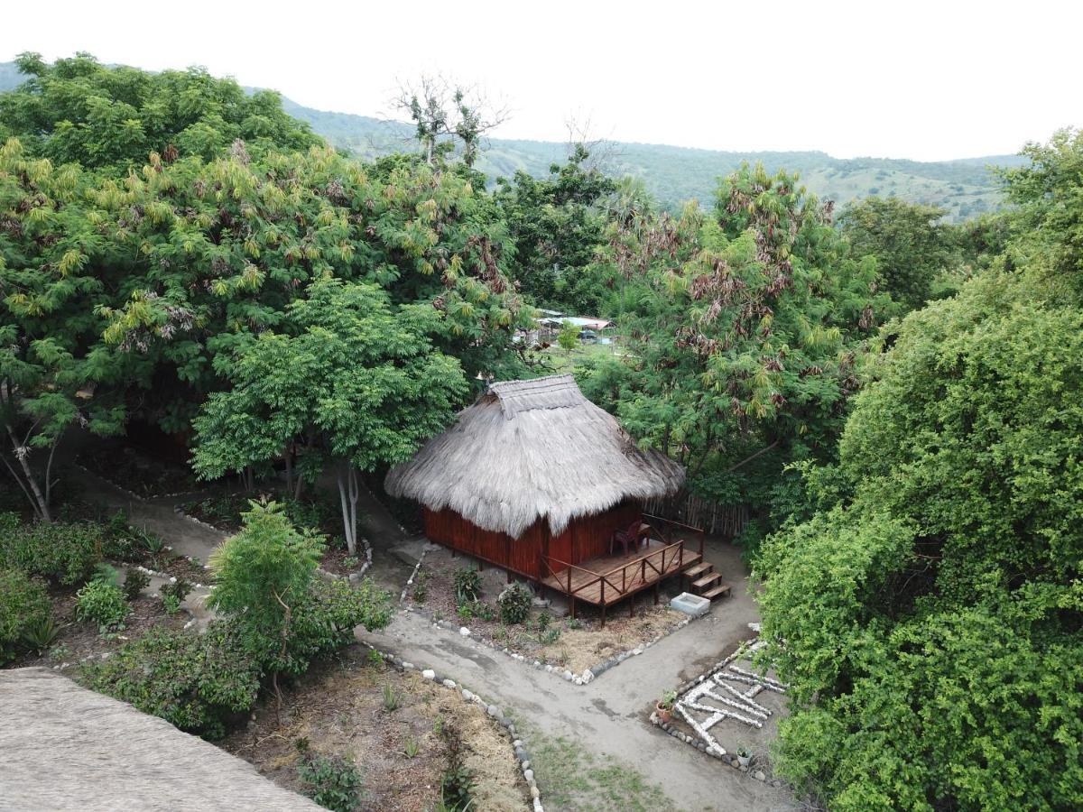 Atauro Dive Resort Beloi エクステリア 写真