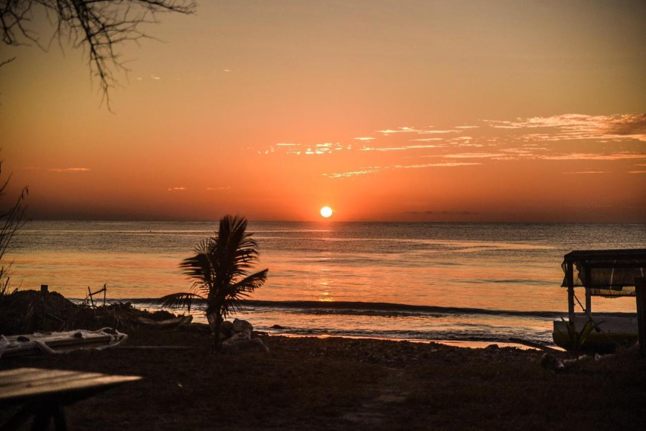 Atauro Dive Resort Beloi エクステリア 写真