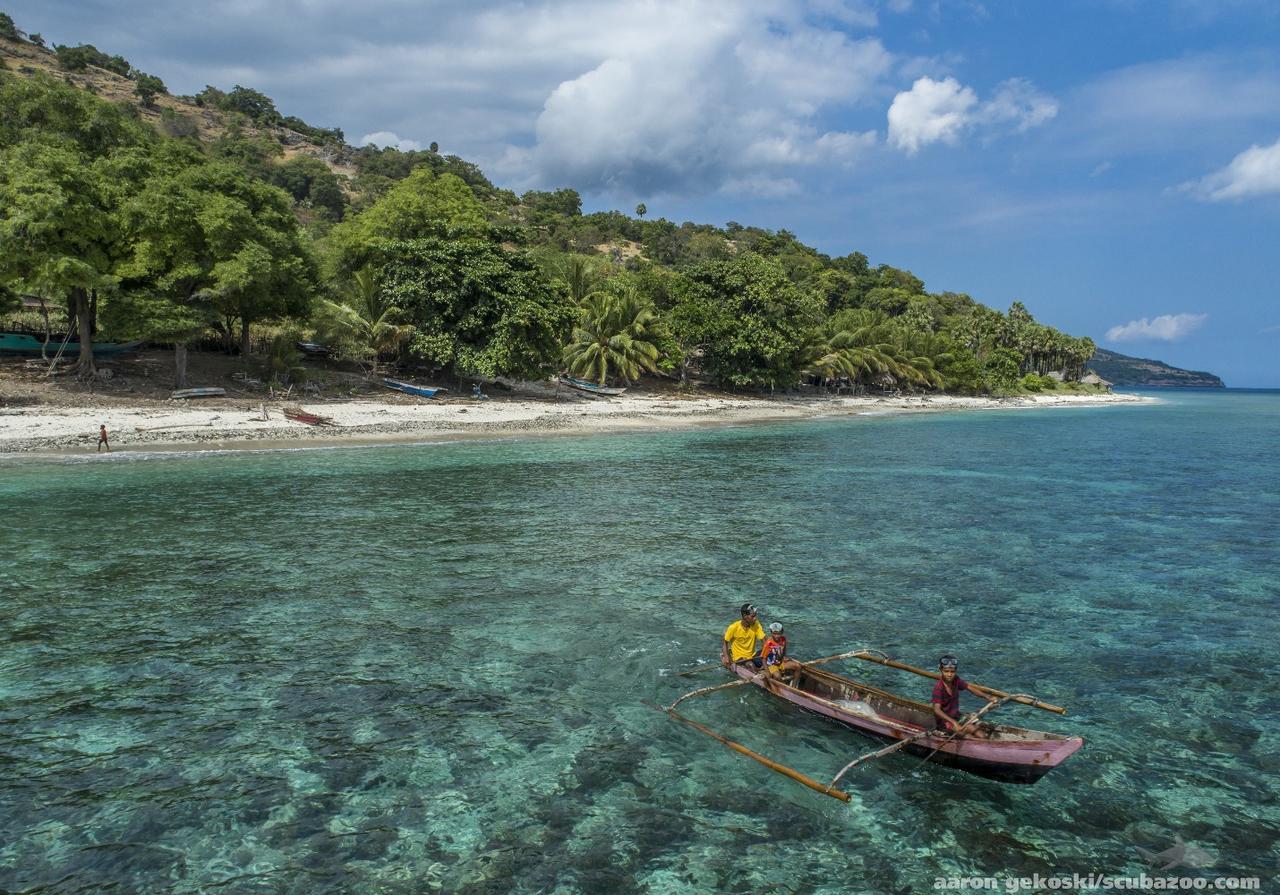 Atauro Dive Resort Beloi エクステリア 写真