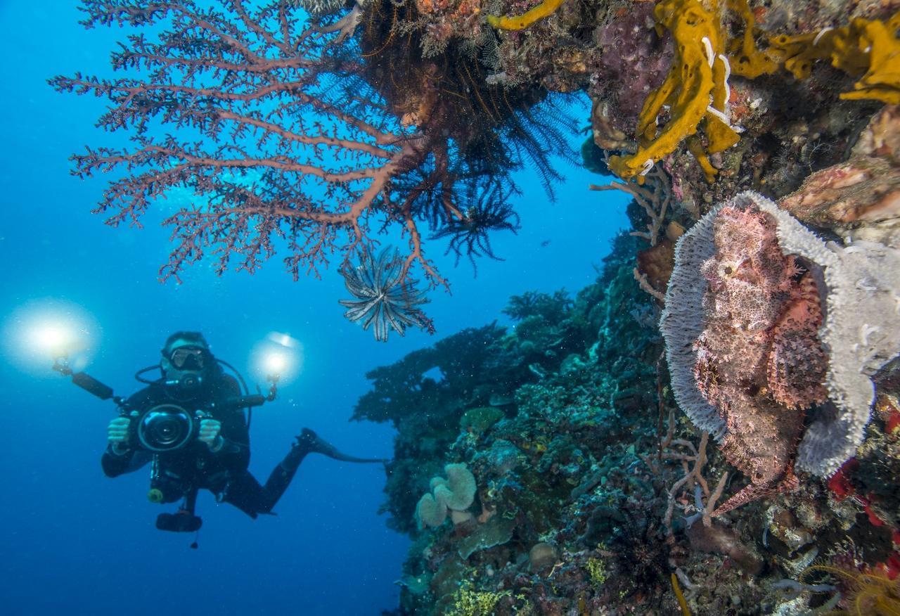 Atauro Dive Resort Beloi エクステリア 写真